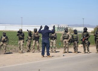 La mayor redada en un cultivo de California se salda con 361 detenidos en granja de cannabis