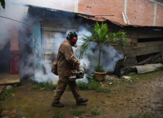 La OMS pide medidas para evitar una expansión del virus chikunguña tras brotes en el Índico