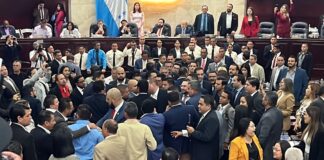 Colectivos de Libre invaden el Congreso Nacional e interrumpen comparecencia de consejeros del CNE