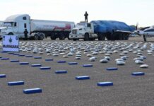 Decomisan 1,9 toneladas de coca y marihuana en seis operaciones antidrogas en Bolivia