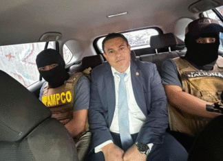 Dictan detención judicial al diputado Nelson Márquez y a cuatro personas por presunta corrupción millonaria