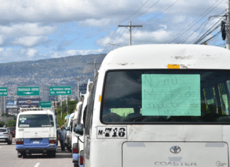 Sector transporte denuncia 28 asesinatos y más de 250 millones de lempiras pagados en extorsión durante 2025