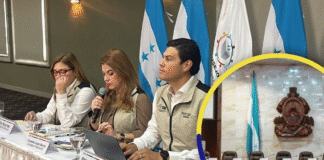 ¡Por crisis en el CNE! Consejeros comparecerán hoy ante el Congreso Nacional