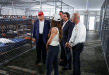 Trump y DeSantis inauguran ‘Alligator Alcatraz’ con promesas de jueces migratorios in situ