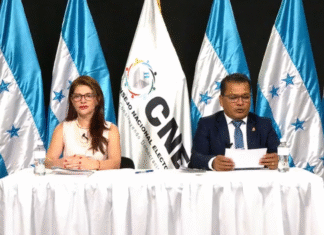 Consejeros suplentes del CNE califican de ilegal convocatoria a sesión del pleno