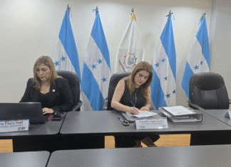 Ante la negativa de Marlon Ochoa y de los suplentes; el CNE puede instalar el Pleno solo con dos consejeras