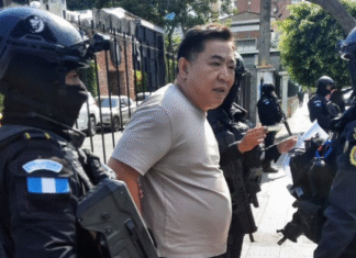 Capturan en Guatemala a reconocido propietario de varias empresas de SPS y es pedido en extradición por EEUU