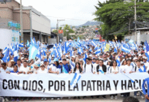 Nacionalistas realizan nutrida marcha en defensa de la democracia y la libertad en Honduras