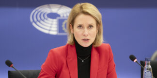 Los eurodiputados de VOX Jorge Martín Frías y Hermann Tertsch señalan a Kaja Kallas por financiar con dinero europeo el fraude electoral en Honduras