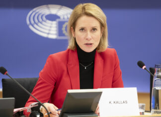 Los eurodiputados de VOX Jorge Martín Frías y Hermann Tertsch señalan a Kaja Kallas por financiar con dinero europeo el fraude electoral en Honduras