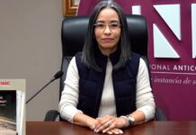 El Estado colapsa, nadie propone soluciones: “Todos compiten por quién miente mejor”, señala directora del CNA