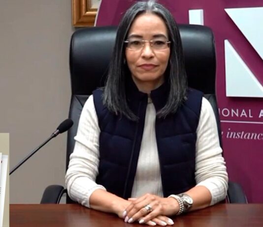 “No hay forma de verificar por qué eligen a unos y dejan fuera a otros”: cuestiona la directora del CNA sobre la elección de autoridades en el CNE y TJE