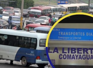 Empresa de transporte que operaba entre SPS y Comayagua cierra por extorsión
