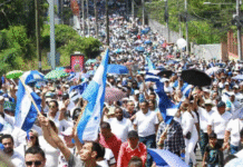 Caminata por la paz y la democracia se realizará en 18 cabeceras departamentales el 16 de agosto