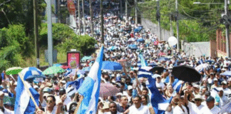 Caminata por la paz y la democracia se realizará en 18 cabeceras departamentales el 16 de agosto