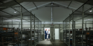 Jueza frena la construcción del centro migratorio Alligator Alcatraz por demanda ambiental