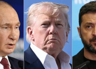 Trump analiza invitar a Zelenski a su encuentro con Putin en Alaska, según medios