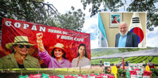 Embajador Rodolfo Pastor confirma que hay “bastante y clara evidencia” de corrupción en el Gobierno de Libre