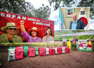 Embajador Rodolfo Pastor confirma que hay “bastante y clara evidencia” de corrupción en el Gobierno de Libre