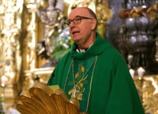 ¡En masiva caminata por Honduras! Monseñor Vicente Nácher: “Bienaventurados aquellos que caminan por la paz”