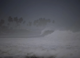 EEUU ordena evacuaciones en islas de Carolina del Norte debido al enorme huracán Erin