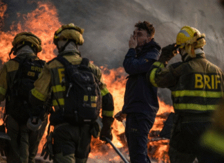 España continúa lucha contra incendios que ya arrasaron más de 380.000 hectáreas