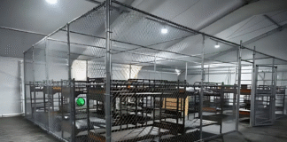 Juez de EEUU desestima demanda sobre el acceso legal de migrantes en ‘Alligator Alcatraz’