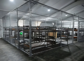 Juez de EEUU desestima demanda sobre el acceso legal de migrantes en ‘Alligator Alcatraz’