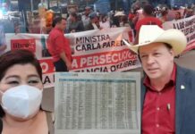 Diputado suplente de Libre critica protestas de colectivos por remoción de funcionaria señalada en caso Sedesol