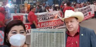 Diputado suplente de Libre critica protestas de colectivos por remoción de funcionaria señalada en caso Sedesol