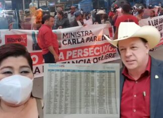 Diputado suplente de Libre critica protestas de colectivos por remoción de funcionaria señalada en caso Sedesol