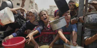 Milei sobre hambre en Gaza: «Los alimentos van pero los terroristas no los dejan entrar»