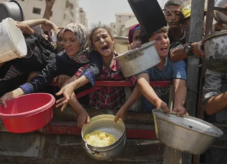 Milei sobre hambre en Gaza: «Los alimentos van pero los terroristas no los dejan entrar»