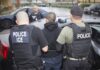 Detienen a 57 inmigrantes, la mayoría de Guatemala, en redada del ICE en Cato, Nueva York