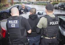 Detienen a 57 inmigrantes, la mayoría de Guatemala, en redada del ICE en Cato, Nueva York