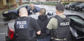 Detienen a 57 inmigrantes, la mayoría de Guatemala, en redada del ICE en Cato, Nueva York
