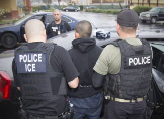 Detienen a 57 inmigrantes, la mayoría de Guatemala, en redada del ICE en Cato, Nueva York
