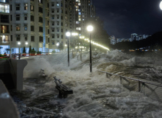El tifón Ragasa deja 17 muertos en Taiwán y toca tierra en el sur de China
