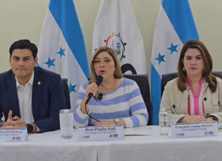 CNE despide a dos empleados que colocaron a Jorge Cálix en la papeleta de diputados