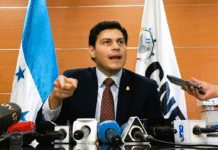 Marlon Ochoa pide a la sociedad civil no presionar al CNE por Reglamento de Observación Electoral