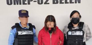 Medidas Sustitutivas para Mujer Vinculada a Falsificación de Documentos Electorales