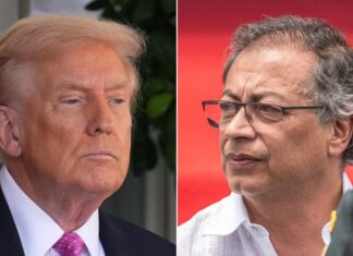 Trump dice que Petro es un «matón» y un «mal tipo» que fabrica «muchas drogas»