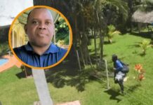 “El gobierno les dio armas, drogas y poder”: Alan Bernárdez acusa a Libre de impulsar invasiones de tierra con respaldo político