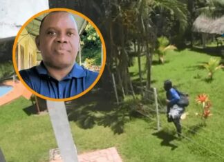 “El gobierno les dio armas, drogas y poder”: Alan Bernárdez acusa a Libre de impulsar invasiones de tierra con respaldo político