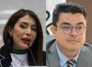Diputada Iroshka Elvir responde al vicecanciller Gerardo Torres tras declaraciones de madre que pide respeto para su hija