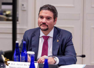 Canciller Bú Soto asegura que la democracia no está en riesgo y destaca avances del CNE