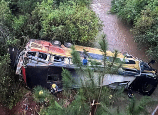 Nueve muertos y varios heridos al caer un ómnibus desde un puente en Argentina
