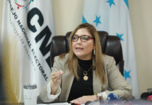 Ana Paola Hall recuerda que las Fuerzas Armadas deben obedecer únicamente al CNE durante el proceso electoral
