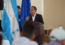 Nelson Licona asume coordinación del comité ejecutivo del CNA