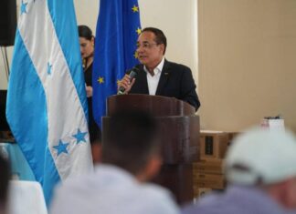 Nelson Licona asume coordinación del comité ejecutivo del CNA